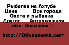 Рыбалка на Ахтубе › Цена ­ 500 - Все города Охота и рыбалка » Другое   . Астраханская обл.,Знаменск г.